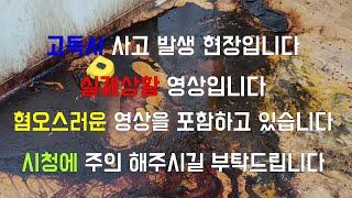 [특수청소 전문채널] 나는 많은 죽음의 이사를 돕는 트라우마 특수청수부다