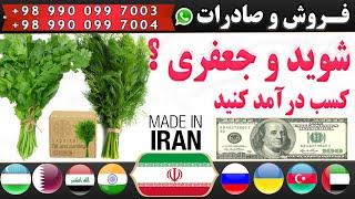 سبزی صادراتی : چگونه شوید و جعفری صادراتی به روسیه،آذربایجان،اوکراین صادر کنیم؟