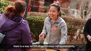 Sustainable Living in College | How to Get Involved at Boston University
