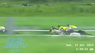 AMBISIOSO / SIR WILLIAM / PALAUIG / EUROCLYDON / LA LIGA FILIPINA / WEATHER LANG RACE 2023.#trending