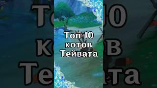 ТОП 10 котов Тейвата | Genshin Impact