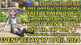 FREE IMPERIAL STEED HORSE, FREE TET MANOS Tier, HORSE EVENT (BDO Event Recap, 17 APRIL 2024) Update