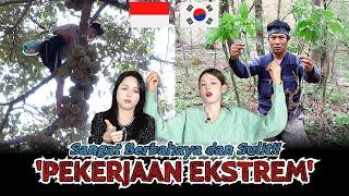 외국인이 듣고 놀란 인도네시아 & 한국의 이색 직업