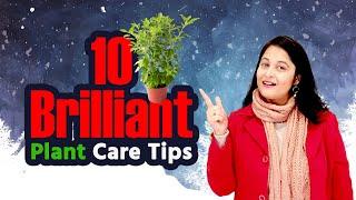 Plants care in winter | How to care plant in winter season | सर्दियों में पौधों की देखभाल करें