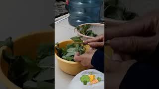 Today is #EatYourVegetablesDay.  #healthandwellnessforseniors