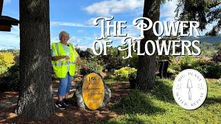 This City Revived Itself with the Power of Flowers: Castle Rock, Washington