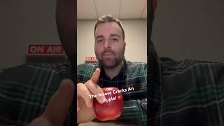 The Moose Cracks an Apple 