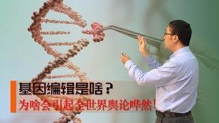 What is Gene Editing? How does CRISPR/cas9 modify DNA? Li Yongle talks about Genetic Engineering(1)