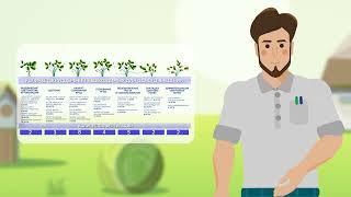 Типовые схемы питания плодово-ягодных культур на фертигации