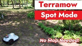 Terramow Spot Mode Testing: Can it really just mow anywhere?