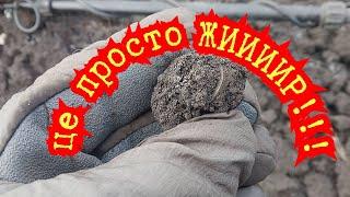 Руки тремтіли від знахідок!Давно так не копав!!!Шикарні знахідки!Я в шоці! Коп з Theseus