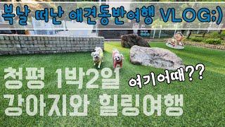 애견동반여행 VLOG ㅣ청평 1박2일 강아지와 힐링여행 여기어때? 리버뷰 글램독 청평 ㅣ with 라움펫 ㅣ  Pet trip to Cheongpyeong. Healing trip