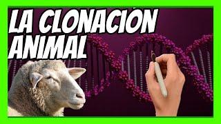  El SECRETO de la CLONACIÓN explicado en 10 minutos | La historia de la OVEJA DOLLY 