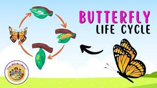 Kids Educational Videos | Kindergarten and Elementary | SCIENCE | The Life Cycle of a Butterfly!!!