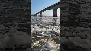 Ice Floes Running Before Rivers Freezing !