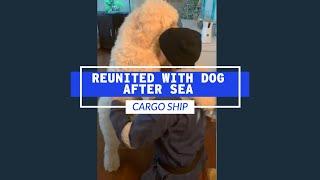 Mariner Reunited With His Dog After Months At Sea | Life At Sea