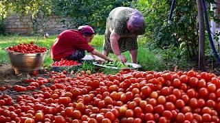 LOTS OF TOMATOES AND CUCUMBER GRANDMA MAKİNG PİCKLE MİX