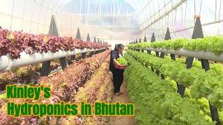 Hydroponic in Bhutan - An alternative to an impact of climate change  on agriculture.