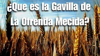 La Gavilla De La Ofrenda Mecida y Los Primeros Frutos - Rico Cortes