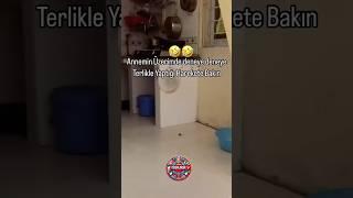 Yorumlarla Kahkaha Fırtınası: Sadece 15 Saniyede Gülmeye Hazır Ol!