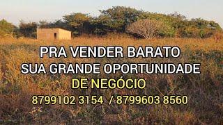 LINDO E BARATO SUA GRANDE OPORTUNIDADE 8799102 3154  /8799603 8560