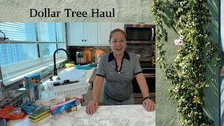 Kitchen Dollar Tree Haul With Jeanine - Bargain Finds!