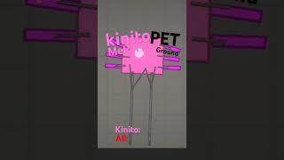 #kinitopet