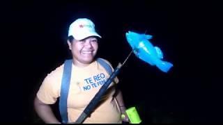 spearing parrotfish on the reef