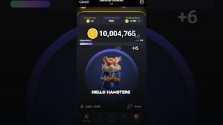 Daily Reward HAMSTER KOMBAT