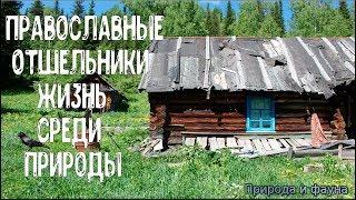 Православные Отшельники. Жизнь среди природы. Orthodox Hermits