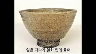 산천초목 - 강권순
