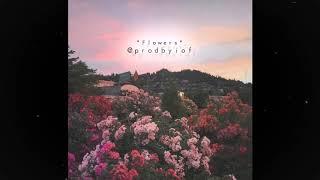 [FREE] Sad Acoustic Guitar Type Beat / Instrumental "Flowers" (Prod. IOF)  @prodbyIOF ​