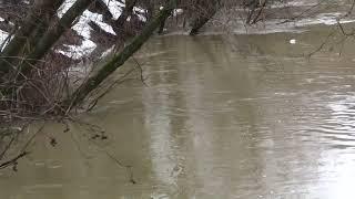 Подьём уровня воды в реке Десна что протекает по городу Троицк.  съёмка в РЦ Красная Пахра