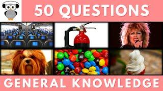 General Knowledge Quiz Trivia #125 | Aircraft Cabin, Fire Extinguisher, Tina Turner, M&M, Soft Serve