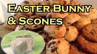 We saw the Easter Bunny & Made Scones! | Weekly Vlog