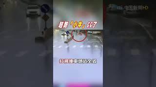 #SHORTS 還沒初四就出事...千萬超跑打滑自撞電線杆瞬間畫面曝光 @中天新聞CtiNews