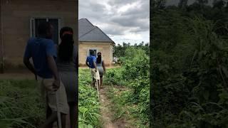 #reggae #shortvideo #nostalgia #usa #indian #travel #brasil #amapianotv