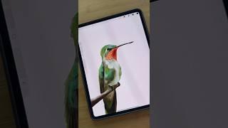 Procreate watercolor painting tips #procreatetutorials #procreate #beginnerarttips