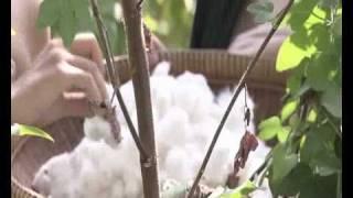 Lanna Arts and Culture documentary, Chiang Rai, Thailand  1/2