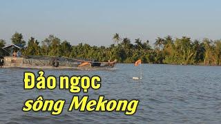 Đảo ngọc trên sông Mekong, với trải nghiệm thú vị và thưởng thức món tôm sông, cá nướng tuyệt ngon