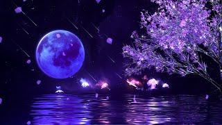 Fall Asleep in Under 3 MINUTESDeep Sleep JourneyHealing of Stress, Anxiety and Depressive States