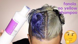 FANOLA NO YELLOW SHAMPOO \\ PURPLE SHAMPOO \\ MAINTAIN GREY - SILVER HAIR