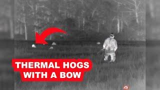 Using Thermal to Spot and Stalk Hogs with a Bow