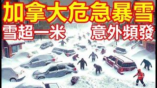 Canada is hit by a severe snowstorm! Road accidents happen frequently! More than one meter of snow!