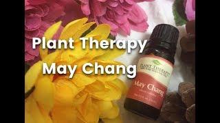 MAY CHANG (LITSEA) ESSENTIAL OIL REVIEW | PLANT THERAPY