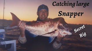 New Snapper Fisherman: Try this to get better results at catching Large Snapper