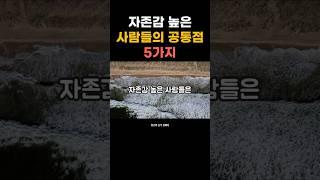 자존감 높은 사람들의 공통점 5가지 #자존감 #감성쇼츠 #중년자기관리 #삶의태도 #짧은명언  #자기돌봄 #마음관리 #중년위로 #위로와충격한마디 #자기계발