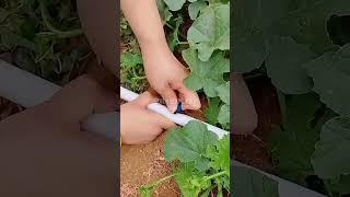 drip depot drip tape irrigation emitter #shorts #tricks #tutorial #manual #soil #crop