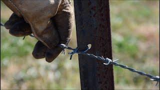 How We Do It: Tying Off Barbed Wire to a Star Post (twitching) #EP4