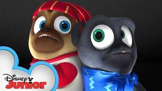 Full Moon Fever  | Puppy Dog Pals | @disneyjr